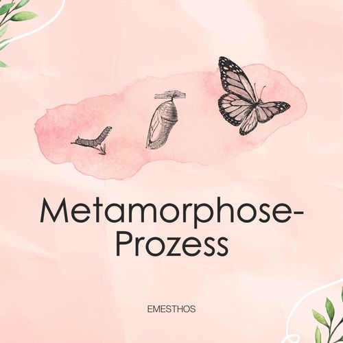 Metamorphose-Prozess - EMESTHOS-Öle Programm-Paket